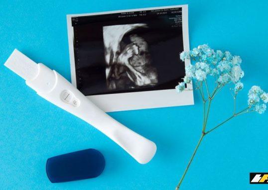 Programa Imposto de Renda 2026: impactos para famílias