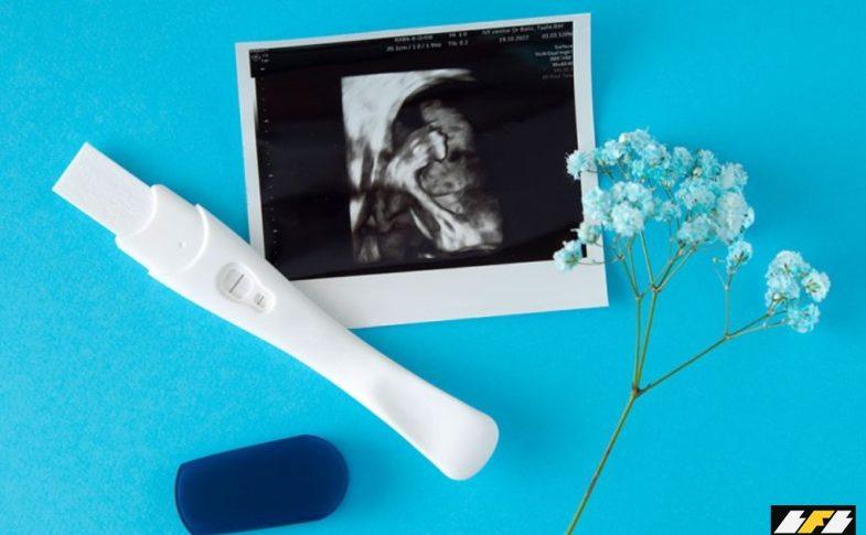 Programa Imposto de Renda 2026: impactos para famílias