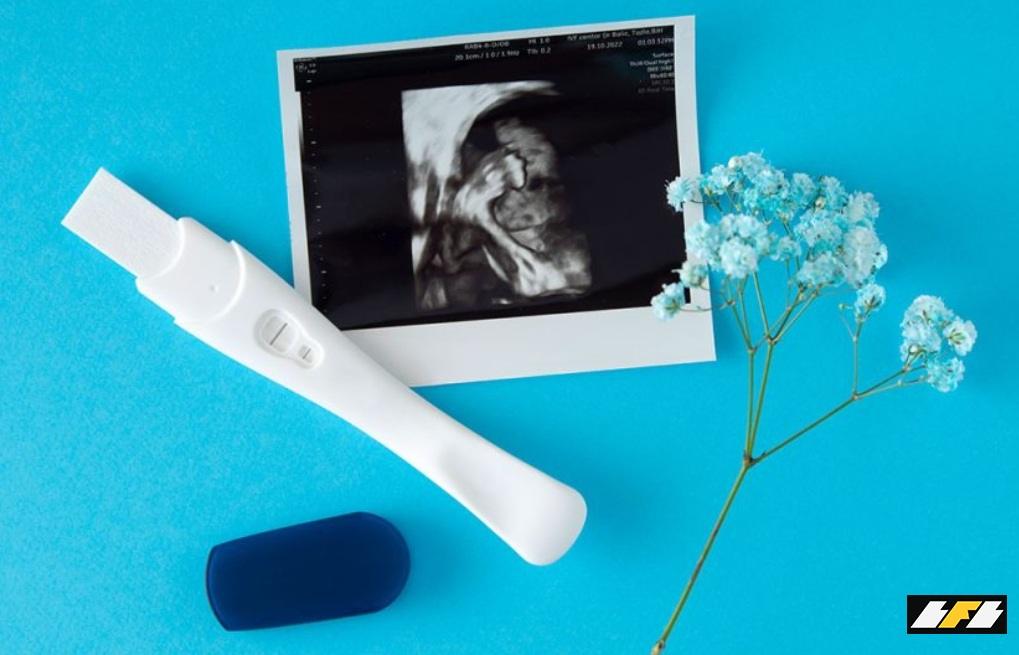 Programa Imposto de Renda 2026: impactos para famílias