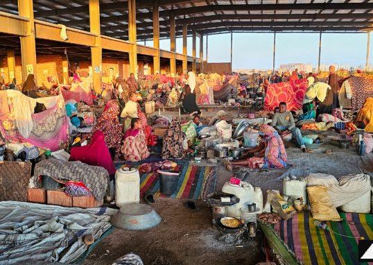 Women deliver babies on the road and under fire as catastrophe grips Sudan’s Aj Jazirah State