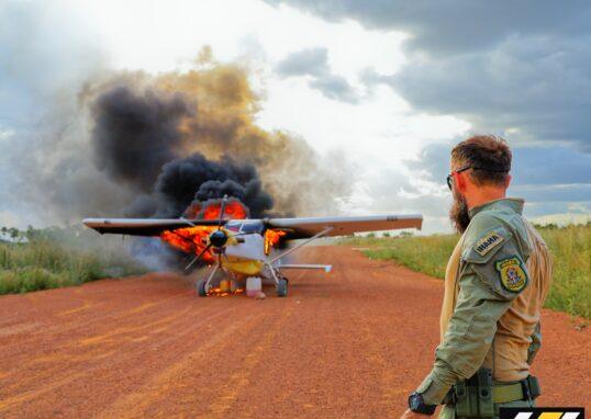 paternidade-br.com image